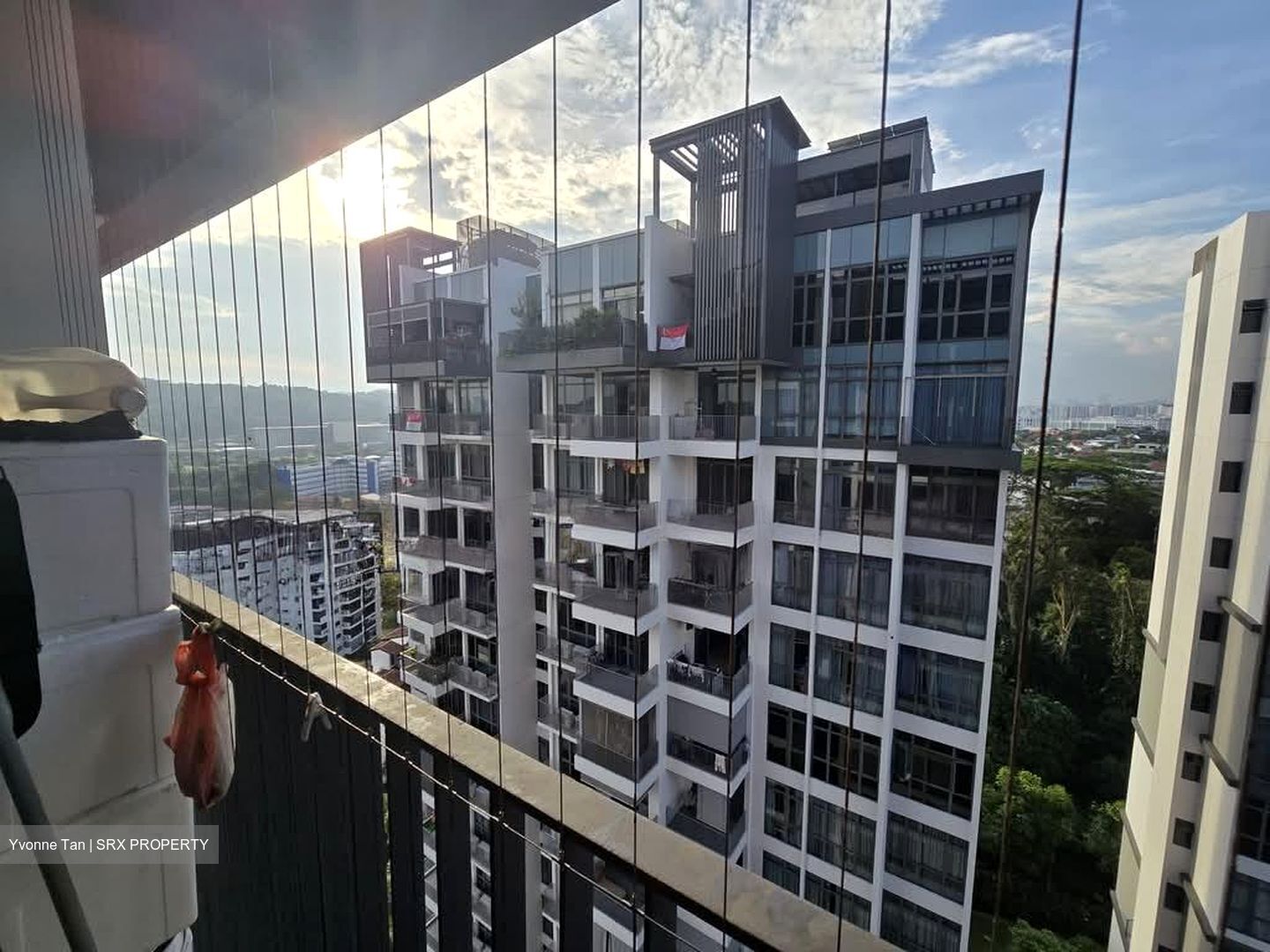 The Skywoods (D23), Condominium #595895641
